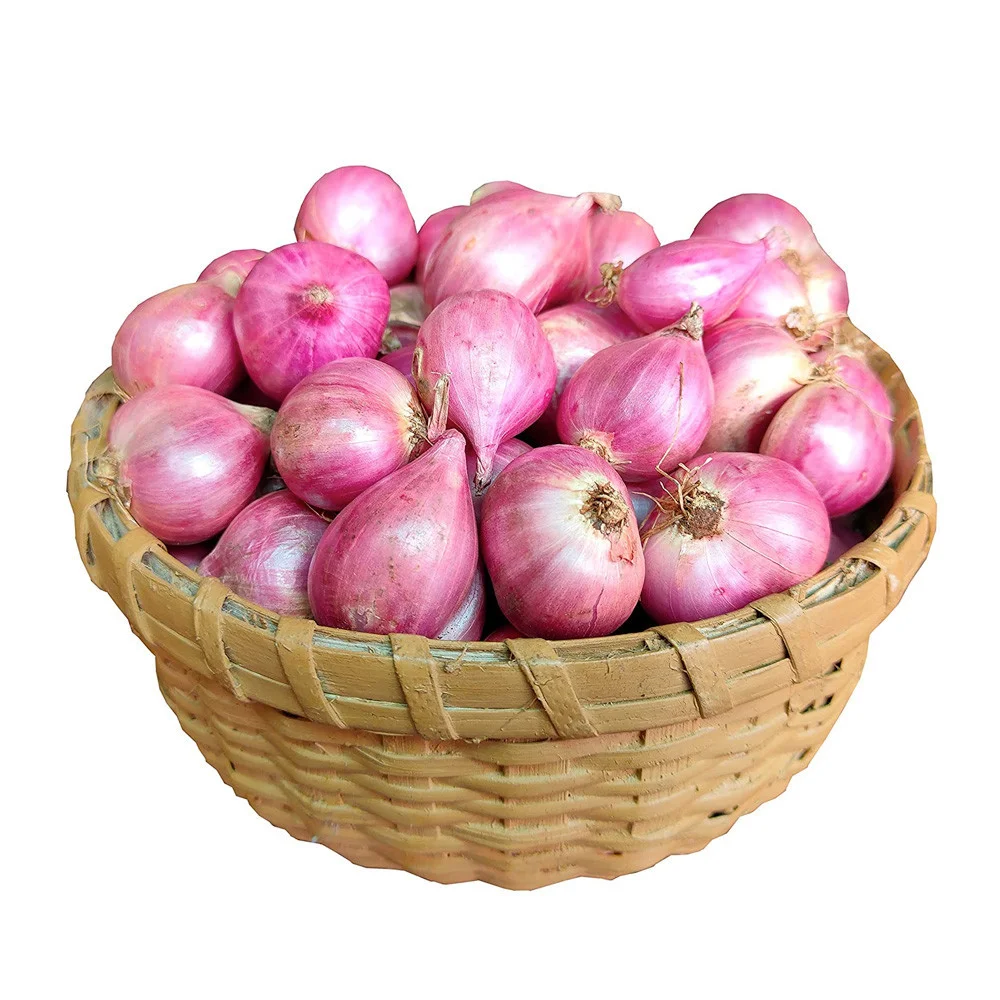 Tortilla Pszenna 25cm 6szt Naturalna Meksykańska - obrazek 4
